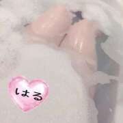 ヒメ日記 2026/03/09 21:04 投稿 はる 山口下関ちゃんこ