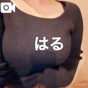 ヒメ日記 2026/03/11 14:44 投稿 はる 山口下関ちゃんこ