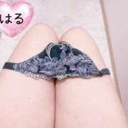 ヒメ日記 2026/03/14 01:54 投稿 はる 山口下関ちゃんこ