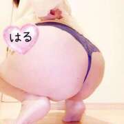 ヒメ日記 2026/03/17 07:10 投稿 はる 山口下関ちゃんこ