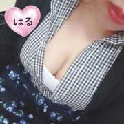 ヒメ日記 2026/03/18 06:54 投稿 はる 山口下関ちゃんこ