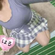 ヒメ日記 2026/03/19 18:34 投稿 はる 山口下関ちゃんこ