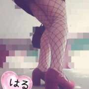 ヒメ日記 2026/03/20 02:52 投稿 はる 山口下関ちゃんこ