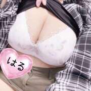 ヒメ日記 2026/03/20 21:25 投稿 はる 山口下関ちゃんこ