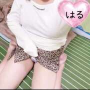 ヒメ日記 2026/03/22 20:54 投稿 はる 山口下関ちゃんこ