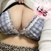 ヒメ日記 2026/04/04 16:14 投稿 はる 山口下関ちゃんこ