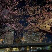 ヒメ日記 2026/04/04 20:04 投稿 はる 山口下関ちゃんこ