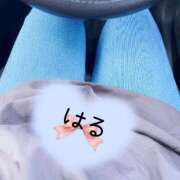 ヒメ日記 2026/04/07 10:33 投稿 はる 山口下関ちゃんこ