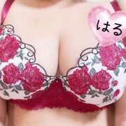 ヒメ日記 2026/04/09 18:44 投稿 はる 山口下関ちゃんこ