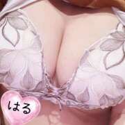 ヒメ日記 2026/04/12 08:04 投稿 はる 山口下関ちゃんこ