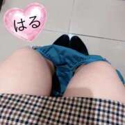 ヒメ日記 2026/04/16 19:24 投稿 はる 山口下関ちゃんこ
