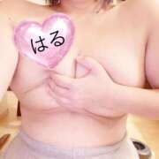 ヒメ日記 2026/04/20 08:14 投稿 はる 山口下関ちゃんこ