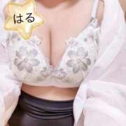 ヒメ日記 2026/04/21 07:14 投稿 はる 山口下関ちゃんこ