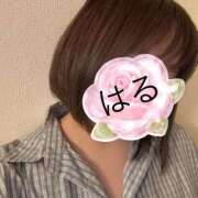 ヒメ日記 2026/04/24 18:44 投稿 はる 山口下関ちゃんこ