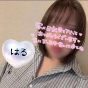 ヒメ日記 2026/05/13 06:54 投稿 はる 山口下関ちゃんこ