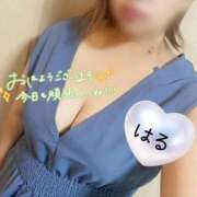 ヒメ日記 2026/05/27 05:14 投稿 はる 山口下関ちゃんこ