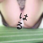 ヒメ日記 2026/08/19 23:54 投稿 はる 山口下関ちゃんこ