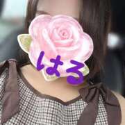 ヒメ日記 2026/09/07 23:14 投稿 はる 山口下関ちゃんこ