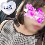 ヒメ日記 2026/09/08 21:34 投稿 はる 山口下関ちゃんこ