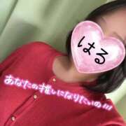 ヒメ日記 2026/09/24 17:24 投稿 はる 山口下関ちゃんこ