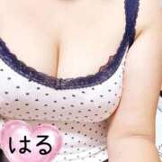 ヒメ日記 2026/09/27 21:04 投稿 はる 山口下関ちゃんこ