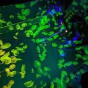 ヒメ日記 2026/02/17 09:10 投稿 ののあ 風俗の神様　浜松店