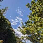 ヒメ日記 2026/02/18 09:20 投稿 ののあ 風俗の神様　浜松店