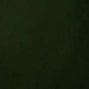 ヒメ日記 2026/02/26 09:20 投稿 ののあ 風俗の神様　浜松店