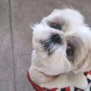 ヒメ日記 2026/03/01 16:10 投稿 ののあ 風俗の神様　浜松店