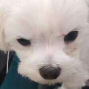 ヒメ日記 2026/03/07 13:50 投稿 ののあ 風俗の神様　浜松店