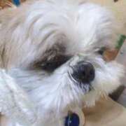 ヒメ日記 2026/03/07 16:40 投稿 ののあ 風俗の神様　浜松店