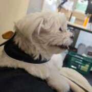 ヒメ日記 2026/03/21 09:20 投稿 ののあ 風俗の神様　浜松店