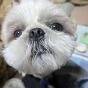 ヒメ日記 2026/04/01 15:20 投稿 ののあ 風俗の神様　浜松店