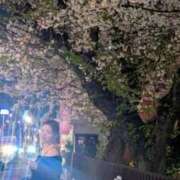 ヒメ日記 2026/04/04 04:10 投稿 ののあ 風俗の神様　浜松店