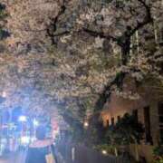 ヒメ日記 2026/04/05 12:23 投稿 ののあ 風俗の神様　浜松店