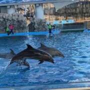ヒメ日記 2026/04/16 05:20 投稿 ののあ 風俗の神様　浜松店