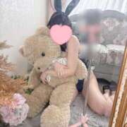 ヒメ日記 2026/01/29 19:19 投稿 ほのか DIVA-ディーバ-【DIVAグループ】