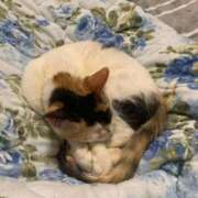 ヒメ日記 2026/03/11 17:40 投稿 (コスパ)錦戸みずき 風俗イキタイいわき店