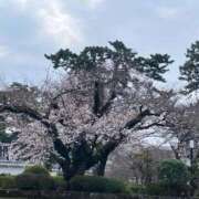 ヒメ日記 2026/04/02 07:00 投稿 (コスパ)錦戸みずき 風俗イキタイいわき店