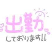 ヒメ日記 2026/02/14 19:46 投稿 【新人】あみ 神奈川小田原ちゃんこ