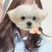 ヒメ日記 2026/02/01 11:48 投稿 【なほ】巨乳美女 バブルリングプラス