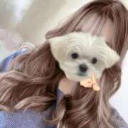 ヒメ日記 2026/02/15 04:03 投稿 【なほ】巨乳美女 バブルリングプラス