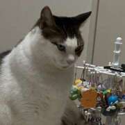 ヒメ日記 2026/03/24 09:03 投稿 【なほ】巨乳美女 バブルリングプラス