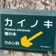 ヒメ日記 2026/04/20 10:41 投稿 うるし あげまん 梅田店