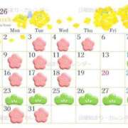 ヒメ日記 2026/02/12 18:58 投稿 あんず（極上SPコース対応） EIGHT（エイト）～8つのお約束と無限の可能性～