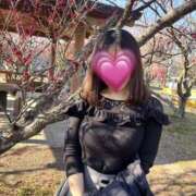 ヒメ日記 2026/02/19 08:22 投稿 れいな スピードエコ難波店