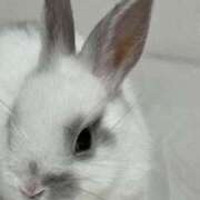 ヒメ日記 2026/03/09 09:18 投稿 ひかる わちゃわちゃ密着リアルフルーちゅ西船橋