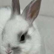 ヒメ日記 2026/03/11 08:38 投稿 ひかる わちゃわちゃ密着リアルフルーちゅ西船橋