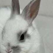 ヒメ日記 2026/03/12 08:18 投稿 ひかる わちゃわちゃ密着リアルフルーちゅ西船橋