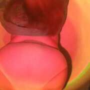 ヒメ日記 2026/02/12 10:20 投稿 あきほ 丸妻 新横浜店